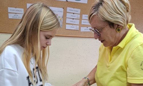 Izdelovali iz ličja